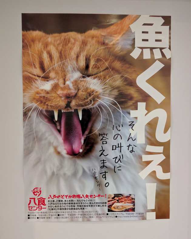 A poster of a cat showing its fangs with Japanese text